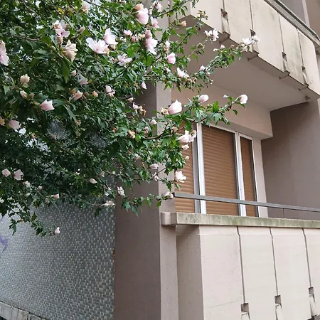 Montenero Apartamento